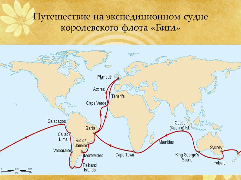 Путешествие на экспедиционном судне королевского флота «Бигл»
